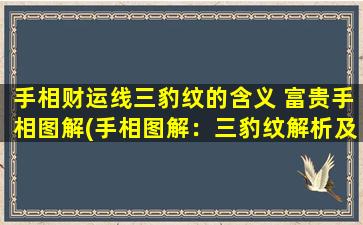 手相财运线三豹纹的含义 富贵手相图解(手相图解：三豹纹解析及财运线富贵图解)